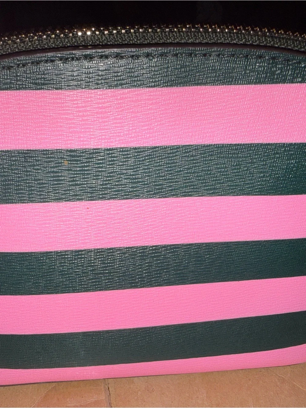 Kate Spade Pink Green Striped Leather Camera Crossbody Bag Gold Chain